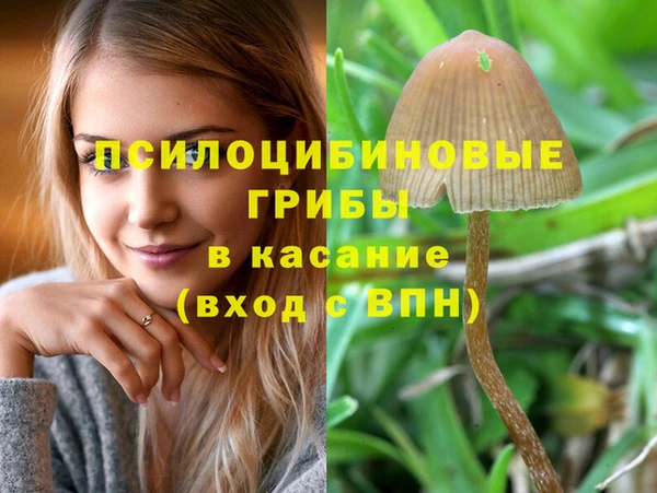 молекула духа Алексеевка