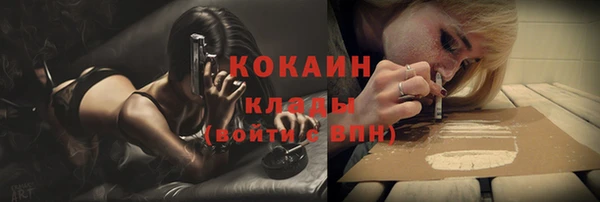 твердый Алексин