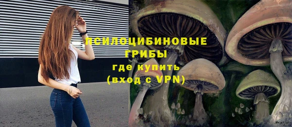 молекула духа Алексеевка