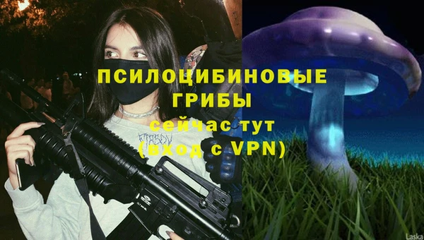 твердый Алексин