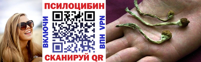 продажа наркотиков  Тавда  Псилоцибиновые грибы Magic Shrooms 